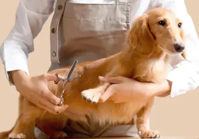 AGENCE BE WEB TOURNAI 6